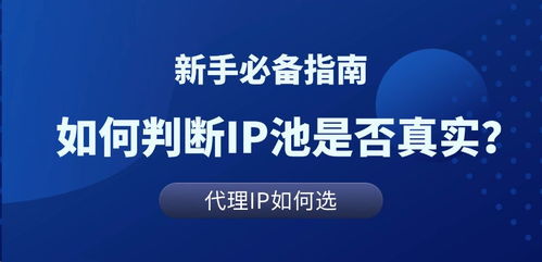 代理IP池解析與真實(shí)測評(píng) 科技推廣和應(yīng)用服務(wù)的核心工具